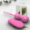 NXY Vibrators Vaginale Ballen Remote Vibrator Speeltjes voor Vrouw Vibrerend Ei Vrouwen Kegel Volwassen 230809