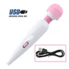 massaggiatore sessuale Massaggio ricaricabile per masturbazione da donna Dispositivo USB forte shock AV stick divertente masturbazione stick vibrante prodotti per adulti