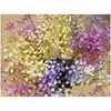 Decorative Flowers Wreaths Gypsophila Silk Baby Breath Artificial Fake Plant Home Wedding Party Decoration Drop Delivery Garden Fe Ot8Uc