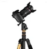 Tripods Tripods Q666 Profesjonalna kamera DSLR Alluminum Travel Portabled Monopod 62'inch 360 stopni Ball Head L230912