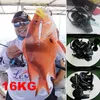 Fliegenfischen Rollen2 Marke 209g bis 310g Flache Spule 62 1 Übersetzungsverhältnis Hochgeschwindigkeits-Casting-Rolle Spinning Baitcasting Daiwa Dawa 230912