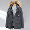 Mens Down Parkas Jacket Puffy Grosso Avisar Casacos Mangas Bordados Homem Outwears Top M-XXXL