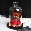 Eternal Preserved Fresh Rose Lovely Teddy Bear Molding Led Light In A Flask Immortal Rose Valentine's Day Mother's Day G3106