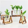 Bottles Jars New Flowers Vase For Home Decor Living Room Decoration Transparent Glass Container Drop Delivery Garden Accents Dh4Zw