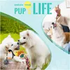 Dog Toys Chews Dog Toys Chews Chew For Small Dogs Durable Rope Aggressive Chewers Puppy Teething Value Tug Interactive Puppies Mediu Dhcyw