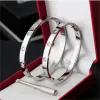 Luxe armband Titanium Stalen armbanden ontwerper voor vrouwen zilver goud Schroef Schroevendraaier Nagel Bangle Armband Vrouwen Mannen Armband Bangles Paar Sieraden