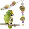 Rainbow Papegoots Toys Parakeet Climb Chew Toy Bird Swing Borr Bell Swing Cage Budgie hängande stege Pet Supplies 275n