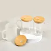 15 oz süblimasyon cam kahve kupaları kar küre cam ile bambu kapaklı çift duvar cam kupa berrak buzlu bira cam açık içme gözlükleri özel hediye