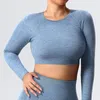 Chemises actives femmes chemise sans couture haut court vêtements de Sport amplifier les hauts d'entraînement pour Fitness gymnase à manches longues Yoga Sport vêtements de Sport