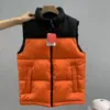 2024 Designer Puffer Gilet Gilet Hommes Nord Hiver Down Gilets Ace Unisexe Couple Bodywarmer Veste Femme Sans Manches En Plein Air Chaud Épais O