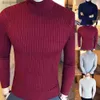 Men's Sweaters Men's Knitted Sweaters Pullover Men Knitwear Casual Winter Solid Color Turtle Neck Long Sleeve Twist Knit Slim Sweater L230912