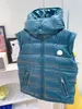 Kamizelki luksus puffer gillet w dół kamizelki dziewczęta dla chłopców designerska kurtka podmorska Dzieci zimowe ciepłe kamizelki kurtki płaszcze baby boy clot