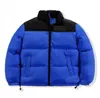 Down Parkas Top Qualité Épais Coupe-Vent Designer Veste Nord Chaud Puffy Vestes Extérieur Hiver S-xxl Qefi