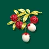 New Creative Women Men Classic Litchi Brooches Pins Plant Fruit Exquisite Design Jewelry For Lady Party Wedding