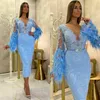 Luxury Blue Evening Dresses Feather Appliqued Lace Sexy Sheer Long Sleeves Mermaid Formal Dress Ankle-length Custom Made Cheap Pro306p