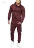 4xl Sonbahar Kış Erkek Jogger Suit Trailsuit Yeni Moda Erkekler Spor Kolu Zipper Dekorasyon Fitness Günlük Giyim İki Parçalı Pantolon Set Trailtsits