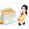 Mini essiccatore elettrico per alimenti per uso domestico 5 vassoi asciugatrice per carne snack di frutta secca essiccatore di verdure 220v