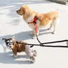 Collari per cani Doppio guinzaglio di sicurezza regolabile durevole per due cani Controllo di ritenuta Doppia corda a 2 vie per animali domestici che camminano