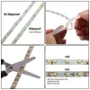 شرائط 12V 2835/3528 SMD LED Strip Light 1M 5M 60LED/M IP65 مقاوم للماء/IP20