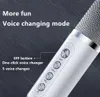 High Power 100W YS-203 Portable Professional Dual Microphone Suit Bluetooth Speaker Smart External Family Party Karaoke