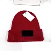 10pcs kış adam moda siyah beanie kadın kafatası kapsr sıcak şapka noel gife erkekler rahat spor işlemeli rüzgar şapkaları unisex bayanlar lable renk kapakları 10 colors