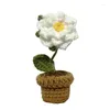 Dekorativa blommor 594C Handwoven Bouquet Potted Sunflower Rose Tulip Handicraft