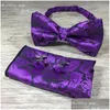 Cintas de telefone celular encantos 3 pçs/set clássico paisley gravatas conjunto masculino moda bowtie lenço abotoaduras conjuntos 17 estilos festa busines dhm3j