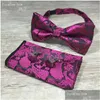 Cintas de telefone celular encantos 3 pçs/set clássico paisley gravatas conjunto masculino moda bowtie lenço abotoaduras conjuntos 17 estilos festa busines dhm3j