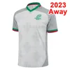 Maglia da rugby Scozia Giappone 2023 Maglia a maniche corte casalinga della squadra nazionale taglia S-5XL