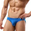 Underpants Brave Person Sexy Underwear Men Briefs Nylon Mens Bikini Man Pouch Male Panties Sheer Swimming Trunks275h