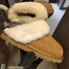 Women Tazz Slippers Tasman Chestnut Slippers Fur Slides Classic Ultra Mini Platform Snow Boots Designer Womens Australia Australian Wool Comfort Winter Eur 35-43