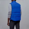 Hommes Fourrure Fausse Fourrure Doudoune Puffer Gilet Designer Manteau Manteau D'hiver Hommes Femmes Veste Mode Épaissie Chaud Casual Unisexe Hiver Manteau De Fourrure À Capuchon En Gros 2 Pièces