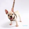 Ensembles de colliers et laisses pour chiens, lettres à la mode, pour animaux de compagnie, chats, petits, moyens et grands combats, Schnauzer, bouledogue, laisses en peluche