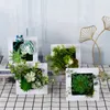 Decoratieve Bloemen 3D Moderne Pastorale Simulatie Vetplanten Ingemaakte Po Frame Wanddecoratie Kunstmatige Plant Thuis