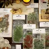 Cadeauverpakking 10 stuks groothandel grote sticker groene plant handaccount DIY materiaal decoratie met een witte fles PET