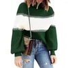 Women's Sweaters Sweater Pullover High-neck Lantern Sleeve Casual Pit Strip Loose Winter Clothing