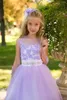 Girl Dresses Flower Dress Purple A-line Fluffy Tulle Lace Sleeveless Wedding Elegant Child's Eucharistic Birthday Party