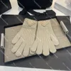 New Designer Triangle Knitted Gloves Autumn Winter Wool Gloves Warm Lining Plus Velvet Mittens Touchscreen Gloves