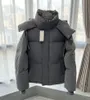 メンズジャケットデザイナーダウンジャケットパーカーレットレタープリント冬ジャケットカップル衣料品コートアウターパフジャケット男性サイズS-XL