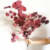 Decorative Flowers 50/100g 30-45cm Natural Eucalyptus Stems Dried Flower Real Apple Leaf Home Decoration Garden Farmhouse Decor