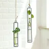 Pendentif en corde de chanvre accroché au mur du salon, contenant pour plantes de pomme verte de culture d'eau, vase en verre, trois modèles disponibles