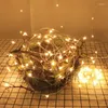 Струны светодиодные гирлянды гирлянды медная проволока лампа 5/10 м освещение на батарейках для украшения рождественской спальни, свадебной вечеринки