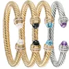 Designer Dy Armband Luxury Top New Fashion rostfritt stål Haoshi Titanium Wire Twist Rope 7mm Öppna smycken Tillbehör