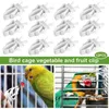 Andere vogelbenodigdheden Kooiclips Compacte voerbak voor huisdieren Langdurige beschermende hand Uniek fruit Groente