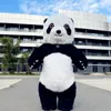 Tema traje tema traje urso branco inflável traje festa de aniversário role play engraçado adereços panda urso polar mascote conjunto