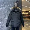 Męski futra faux fur 23ss designer męskie kurtki białe kaczka wiatrówki męskie men parkas kurtka obroźna zima puffer prawdziwy wilk futr arctic hood trim Doudoune Manteau Homm