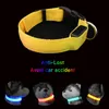 Dog Collars Leashes LED Collar Light Big Cat Pet Small Charm Dark Night Safety Light-up Flashing USB Charge Anti Lost Nylon For Chihuahua Leash 230915