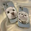 Étuis de téléphone portable Cat's Eye Cat Convient pour iPhone 14 Promax Phone Case 13 Anti-goutte 12 Argent galvanisé XL Tide 7p Couple Q230915