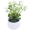 Fiori decorativi Finti piccoli bonsai realistici Ornamenti per vasi finti Bacche Piante in vaso artificiali Plastica