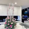 Party Decoration Whole 10 Arms Long Stemmed Modern Clear Acrylic Tube Hurricane Crystal Candle Holders Wedding Table Centerpie259D